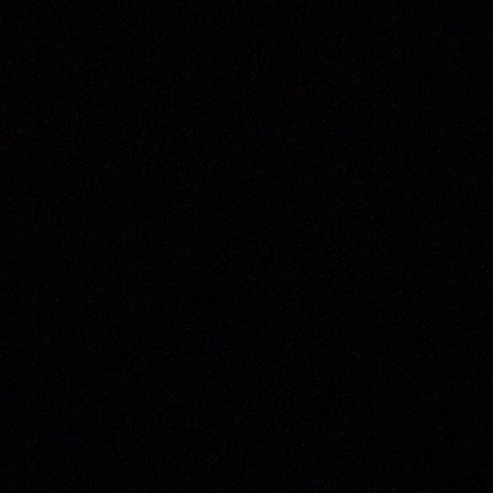 Meet your Posher, Maddie